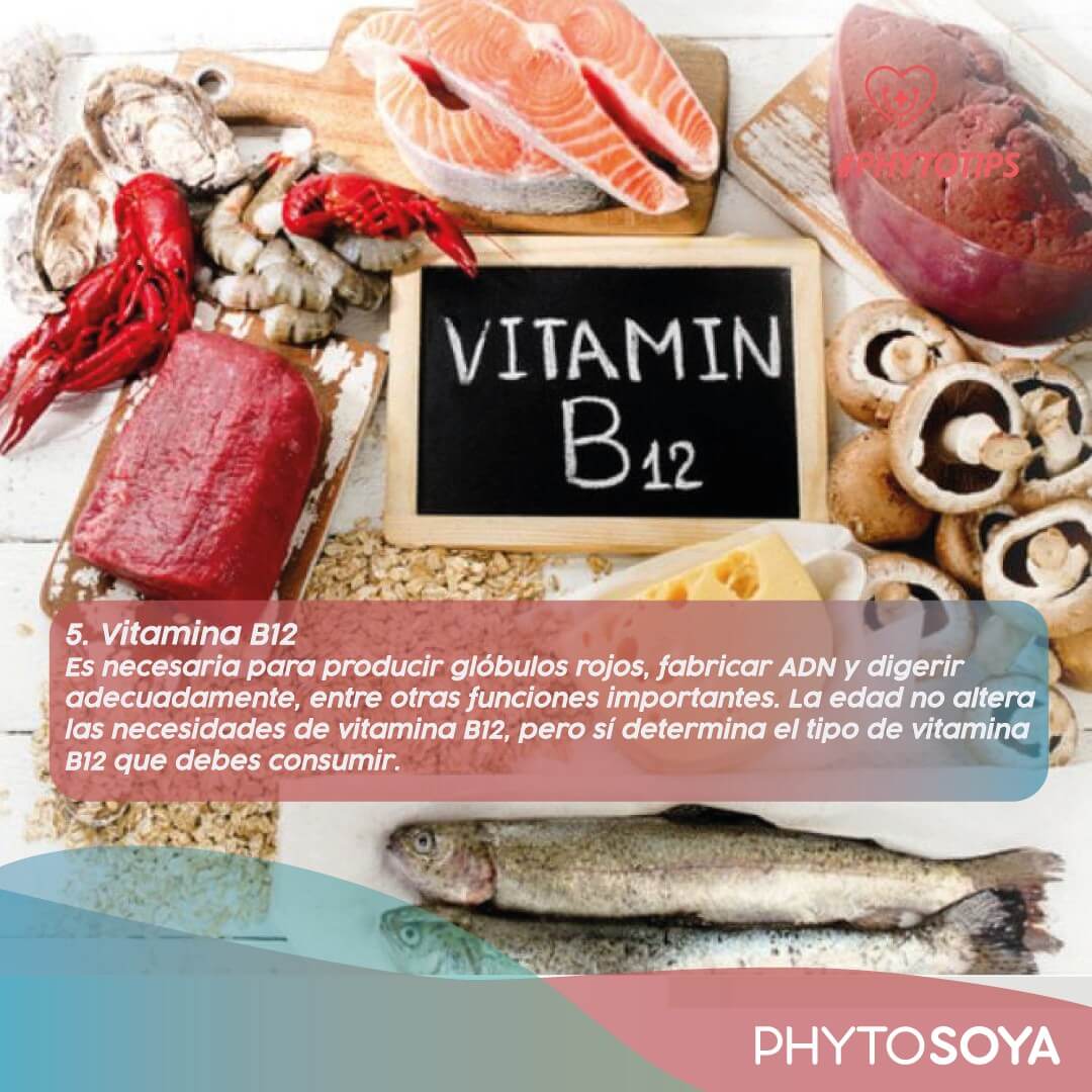 Vitamina B12 - Phyto Soya
