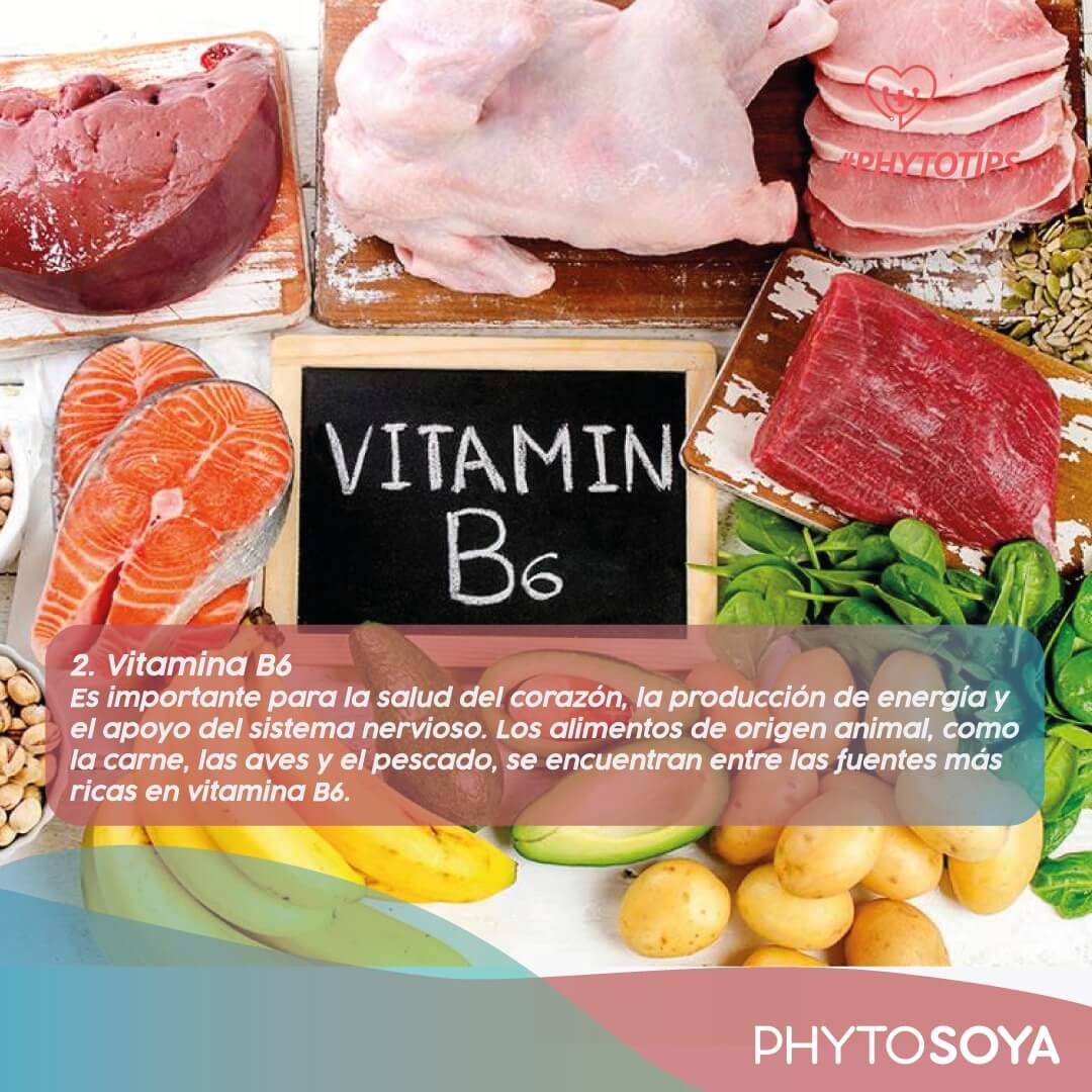 Vitamina B6 - Phyto Soya